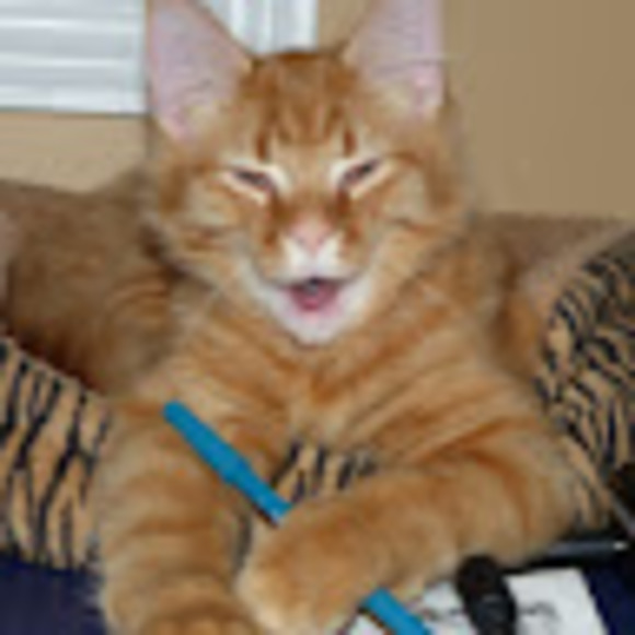 Meet your Posher, Carm - Picture 1 of 1